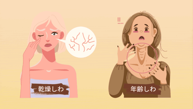 乾燥しわと年齢しわの違い