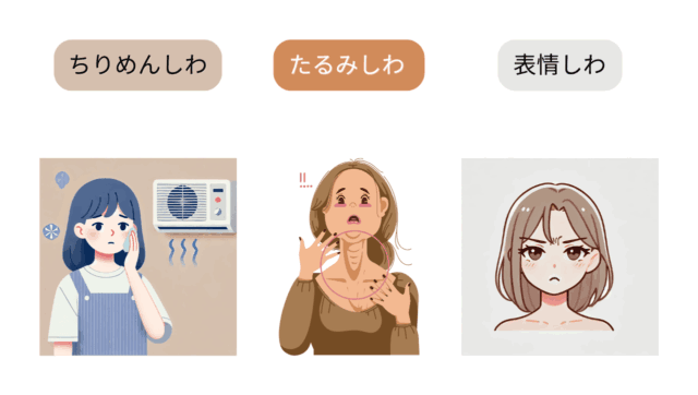 ちりめんじわ・たるみじわ・表情じわ